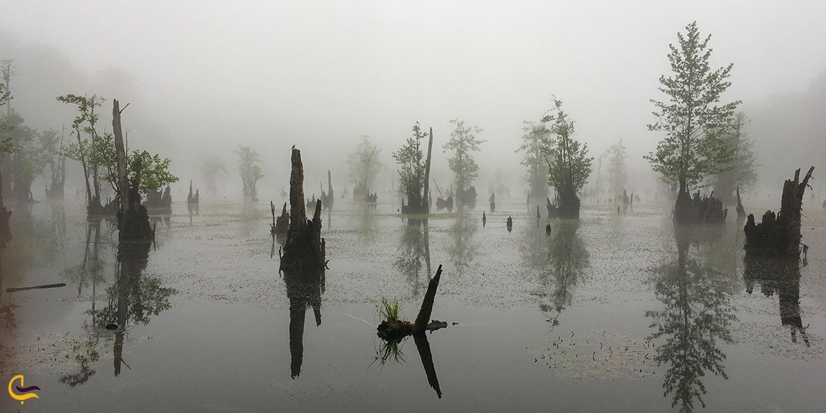تصویری از دریاچه ارواح