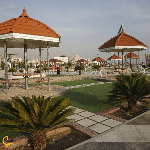 پارک ساحلی نخل تقی