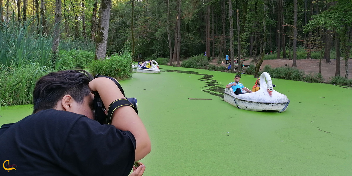 عکاسی در پارک جنگلی سراوان