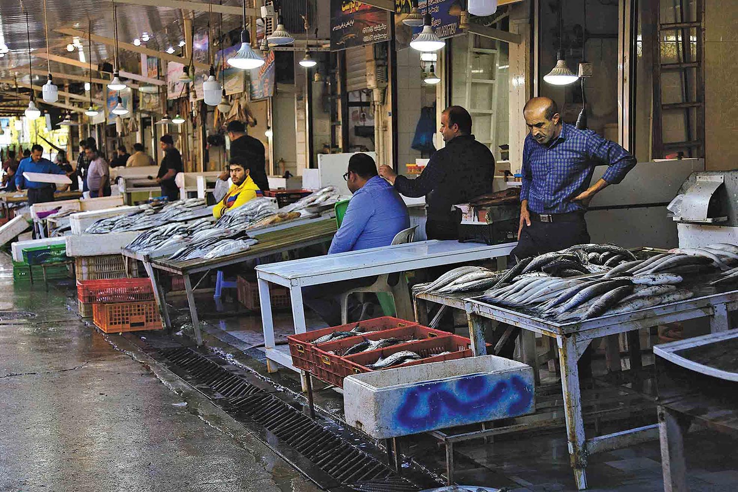 تصویری از بازار ماهی فروش در بوشهر