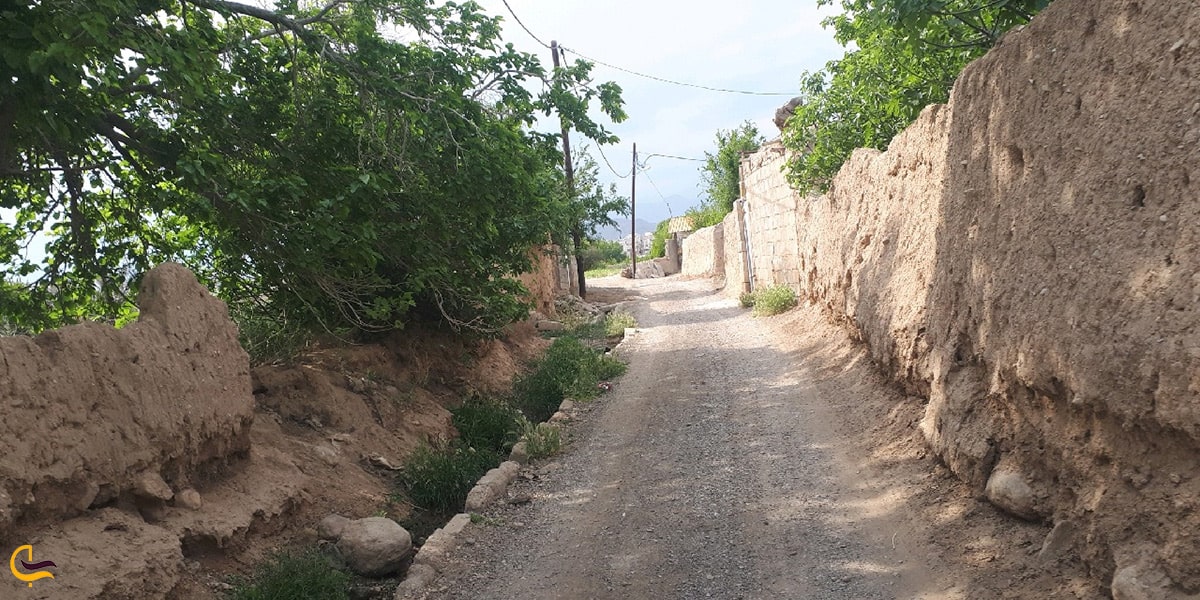 تصویرکوچه باغ کویری سمنان