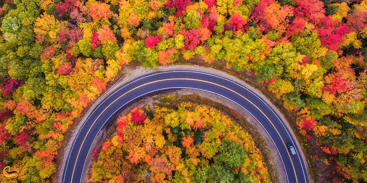 نمایی از جاده ی پاییزی چالوس