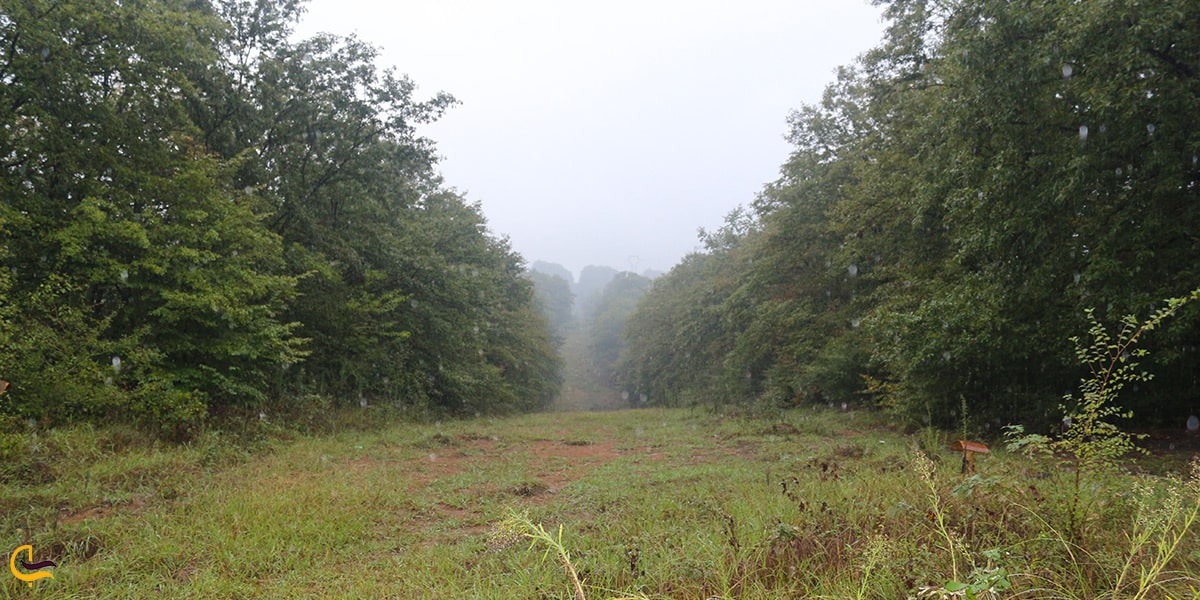 طبیعت پارک جنگلی سراوان