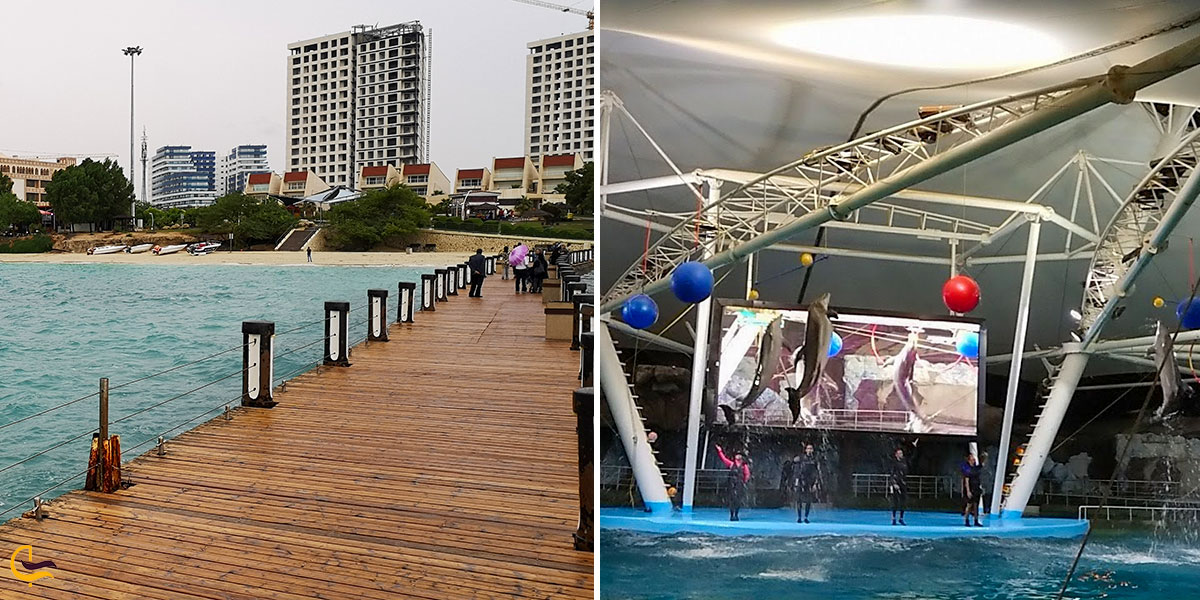 تصویری از جاهای دیدنی اطراف ساحل مرجان