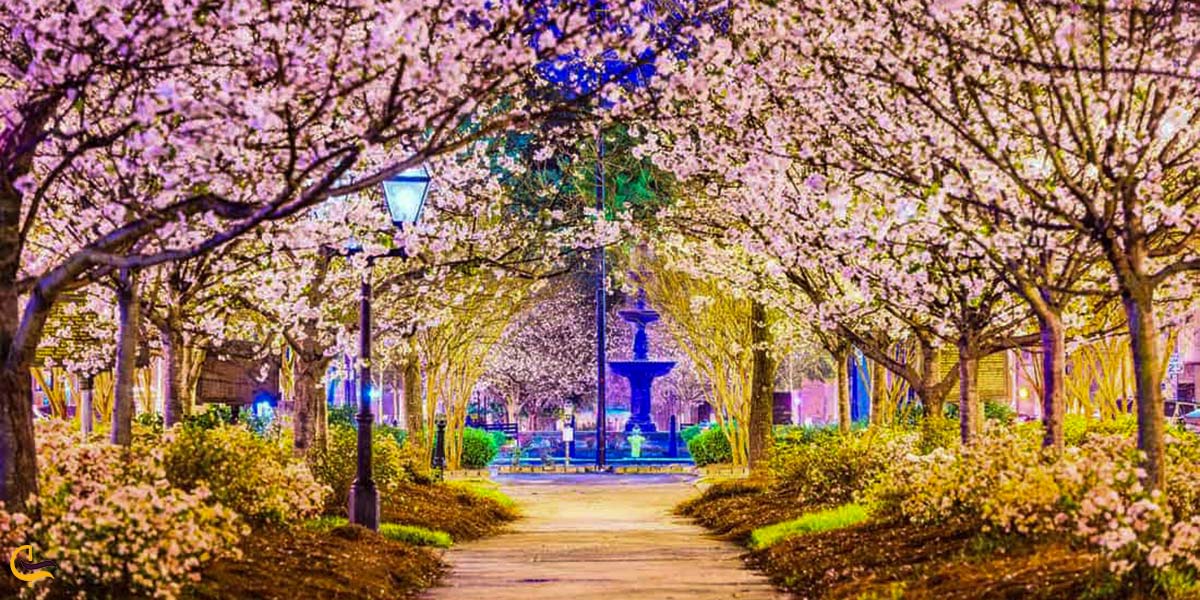 نمایی از تفلیس گرجستان