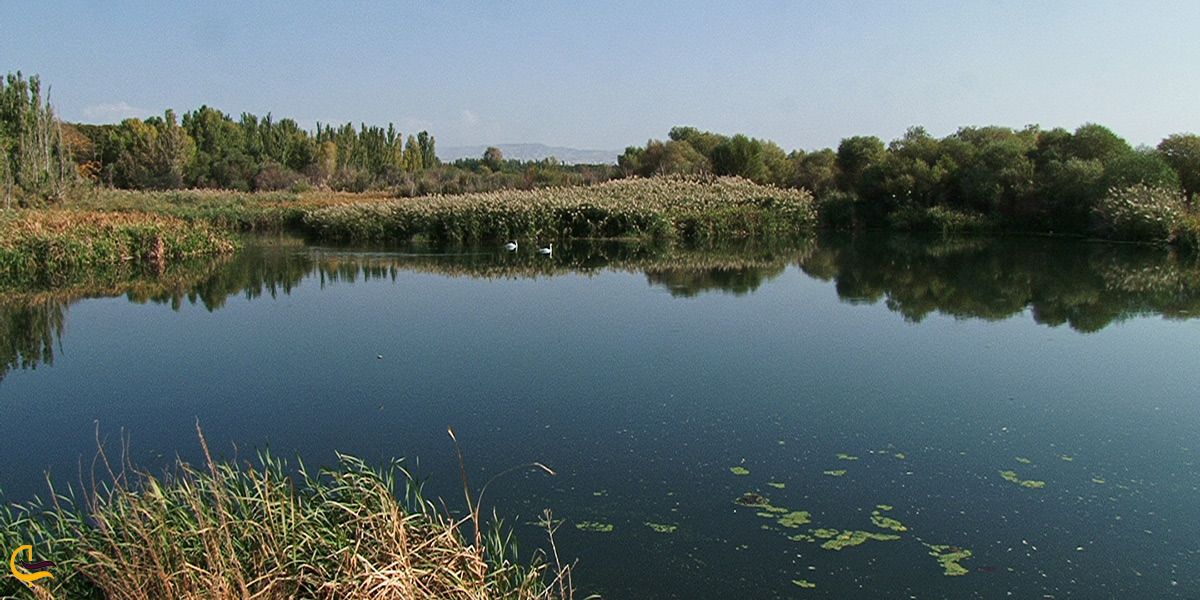 رودخانه زیبای صوفی چای مراغه