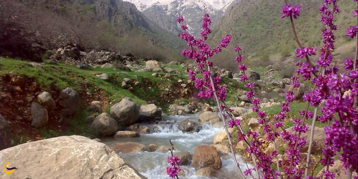 بهترین زمان سفر به شهر زیبای سنندج
