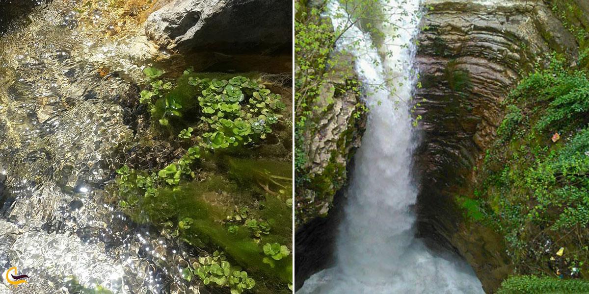 نمایی از آبشار ونوش