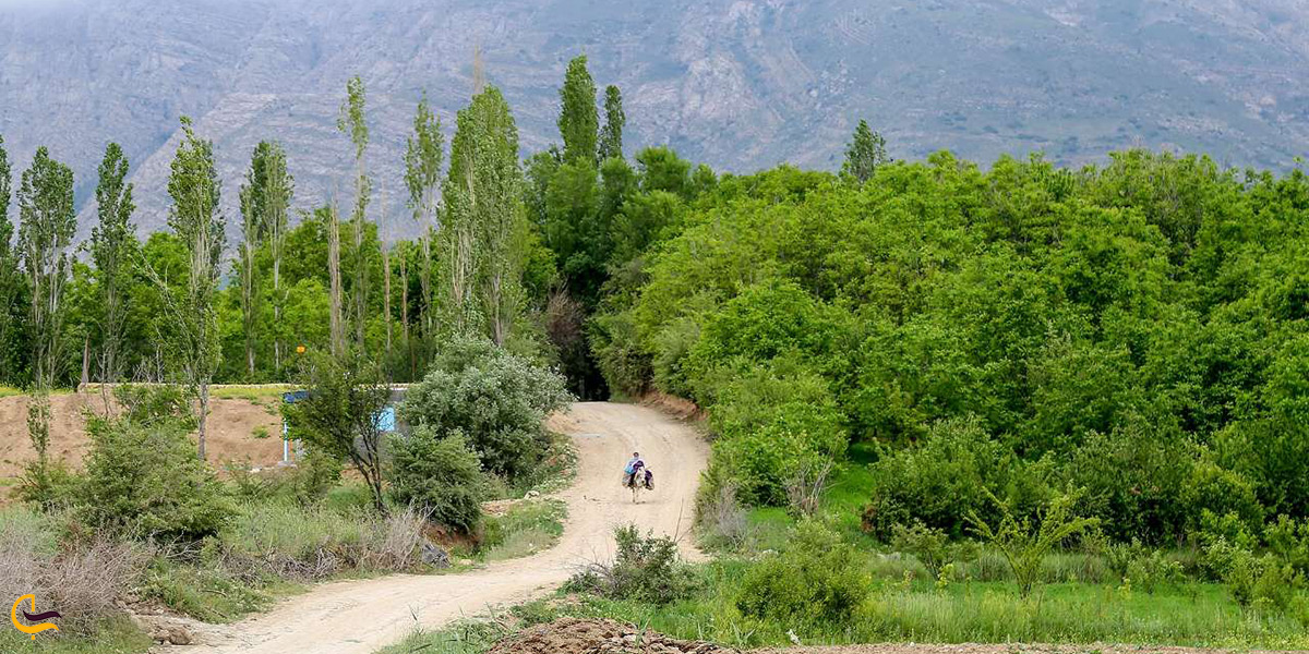 طبیعت بسیار زیبای شهر بجنورد