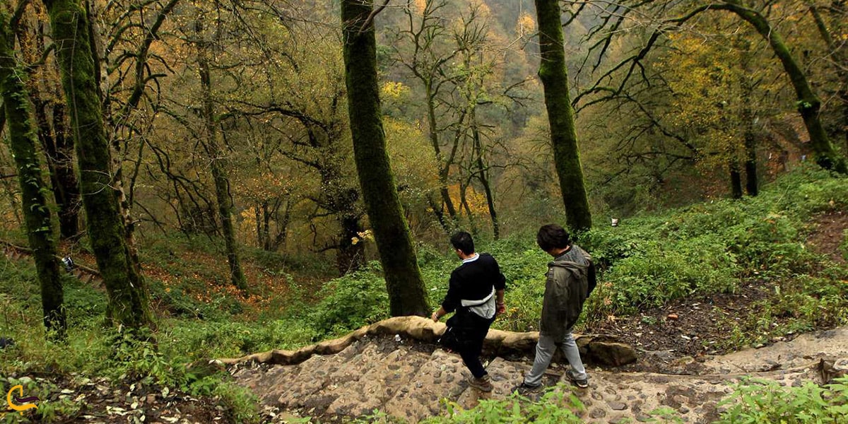 طبیعت بسیار زیبای رشت