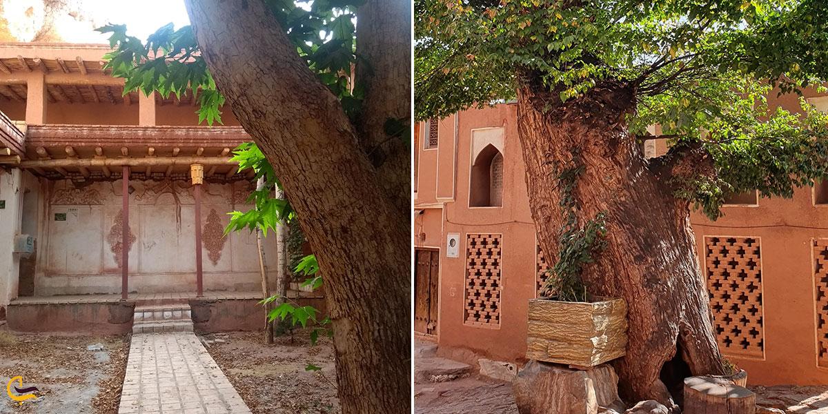 تصویری از زیارتگاه هینزا