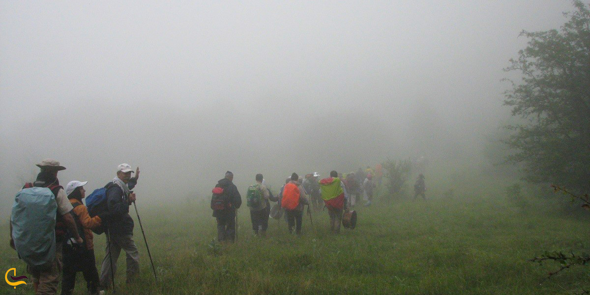 سفر به جنگل ابر شاهرود