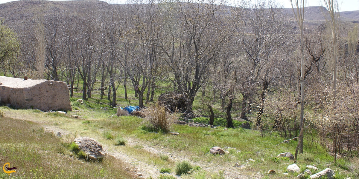 طبیعت بسیار زیبای شهر سیرجان