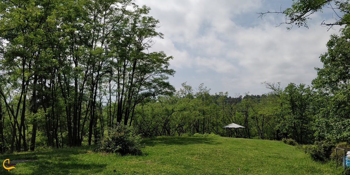 تصویر بسیار زیبا از پارک جنگلی سراوان