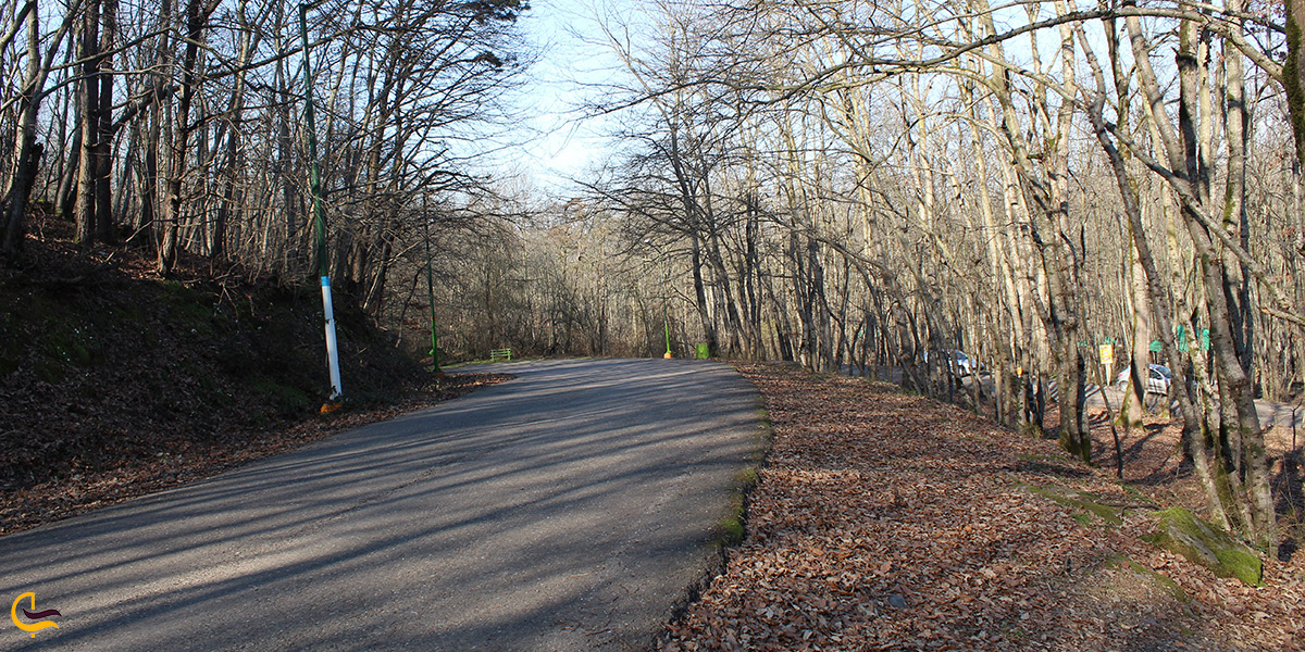 جاده بسیار زیبا پارک جنگلی سراوان