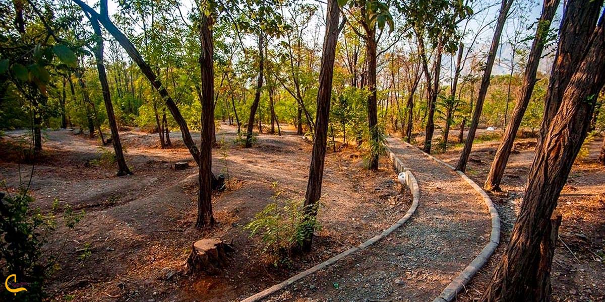 نمایی از پارک جنگلی چیتگر