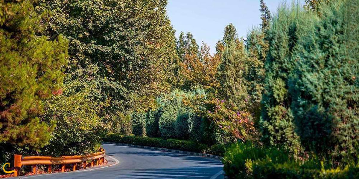 نمایی از پارک جنگلی چیتگر