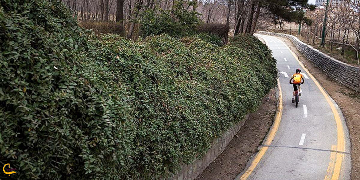 تصویری از پارک جنگلی چیتگر