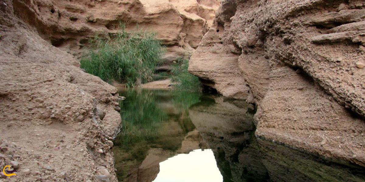 همه چیز درباره ی کال جنی طبس