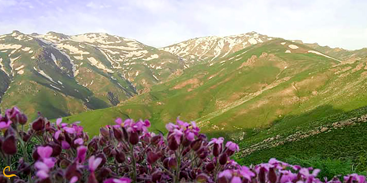 تصویری از کوه های شاه جهان اسفراین