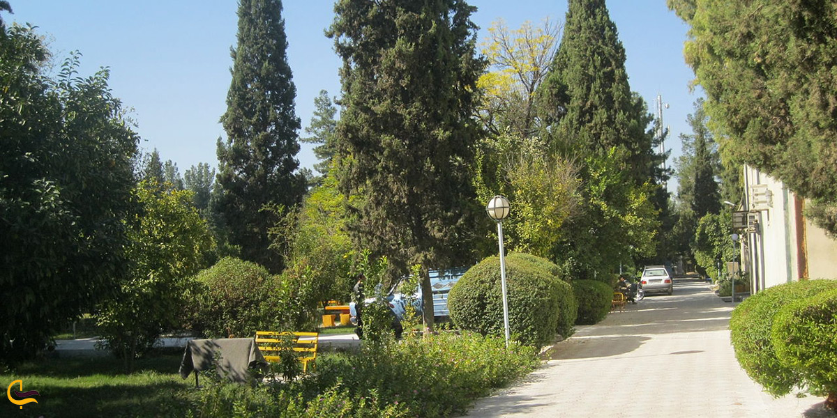 تصویر زیبا از طبیعت باغ نظر کازرون