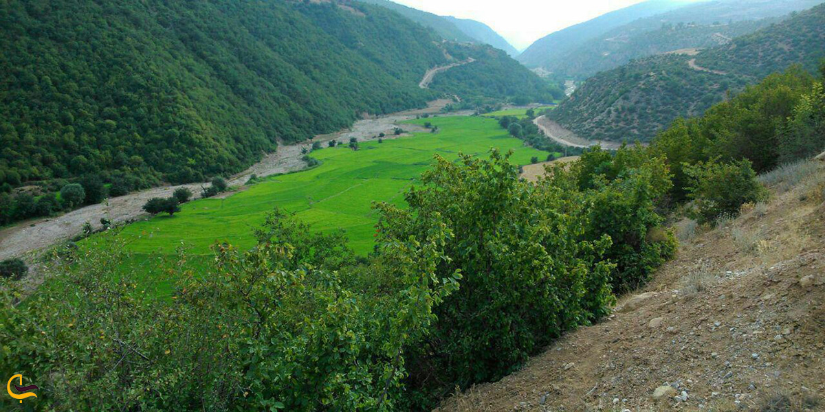 مناظر زیبا یطبیعت جنگل هزار جریب نکا