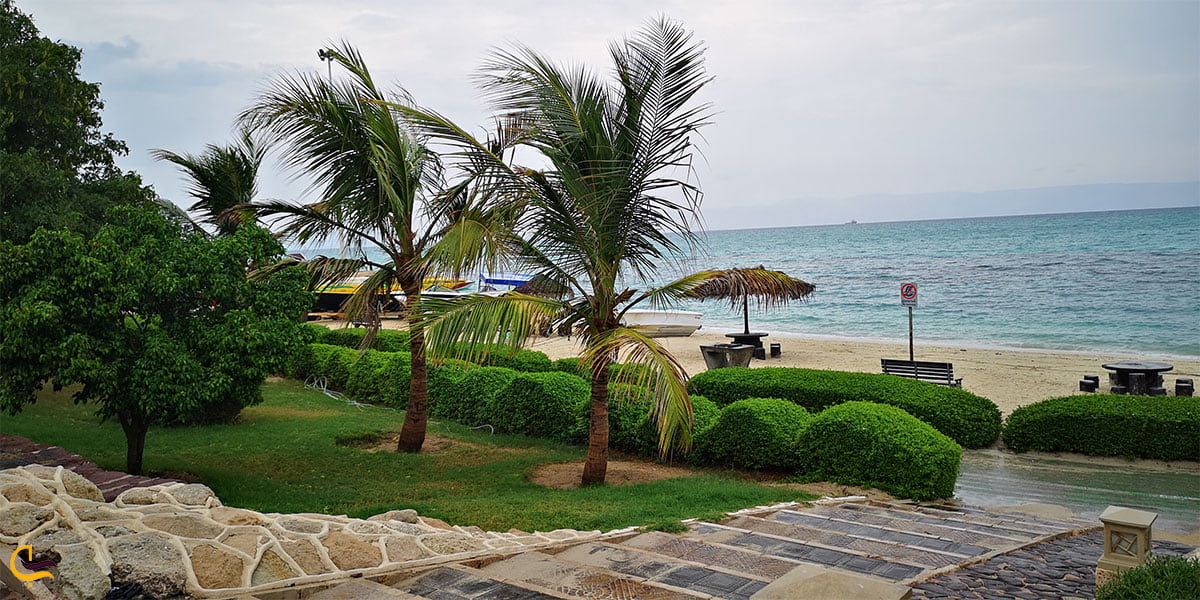 نمایی از ساحل مرجان