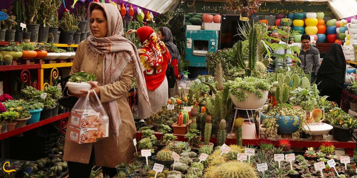 نمایی ازقیمت گل‌وگیاه در بازار گل مشهد