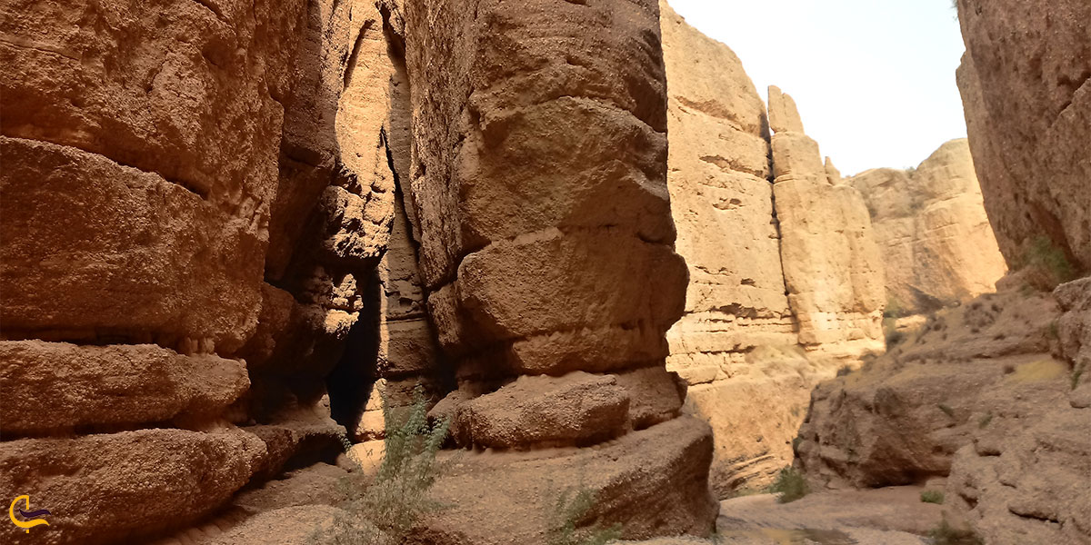 تصویری از سازهای ساخته دست تاریخ