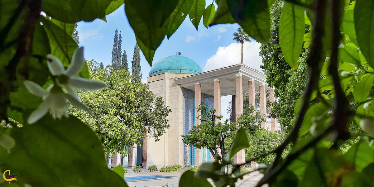 تاریخچه سعدیه