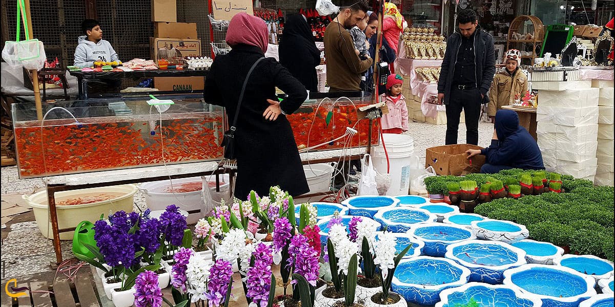 نمایی از بازار گل خیام در عید نوروز