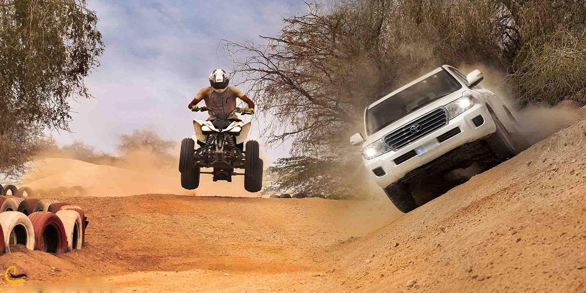 نمایی از سافاری کیش