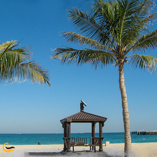 نمایی از آلاچیق های ساحل درختان نارگیل کیش