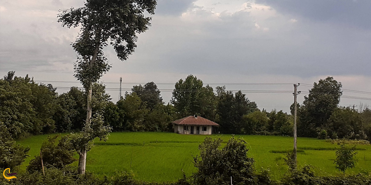 تصویری از فومن مازندران