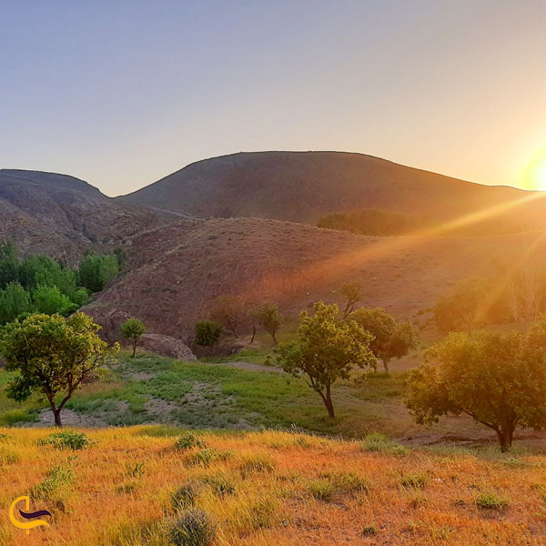 تصویری از غروب آفتاب در طبیعت سرسبز روستای نامق کاشمر