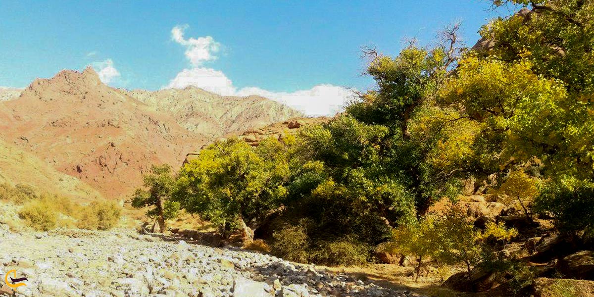 تصویری ازطبیعت روستای اسفراین