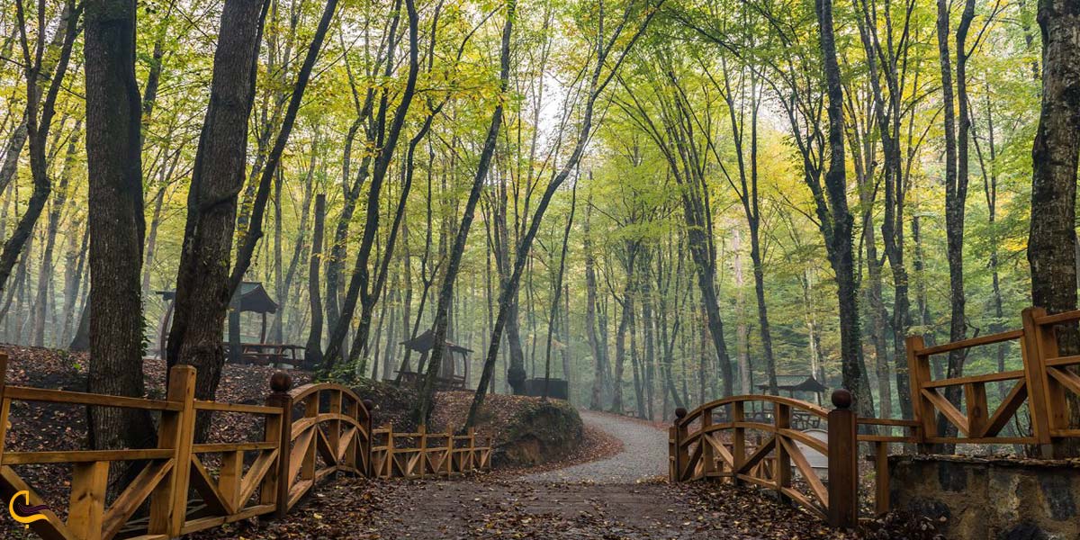 تصویری از طبیعت سرسبز بلگراد استانبول