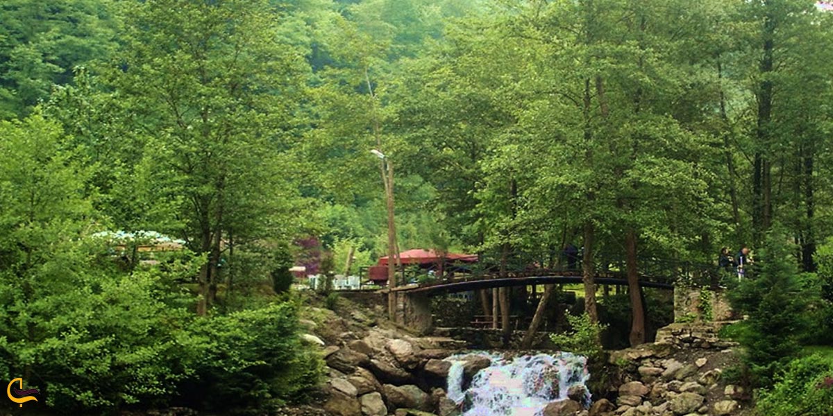 تصویری از طبیعت سرسبز و بکر استانبول