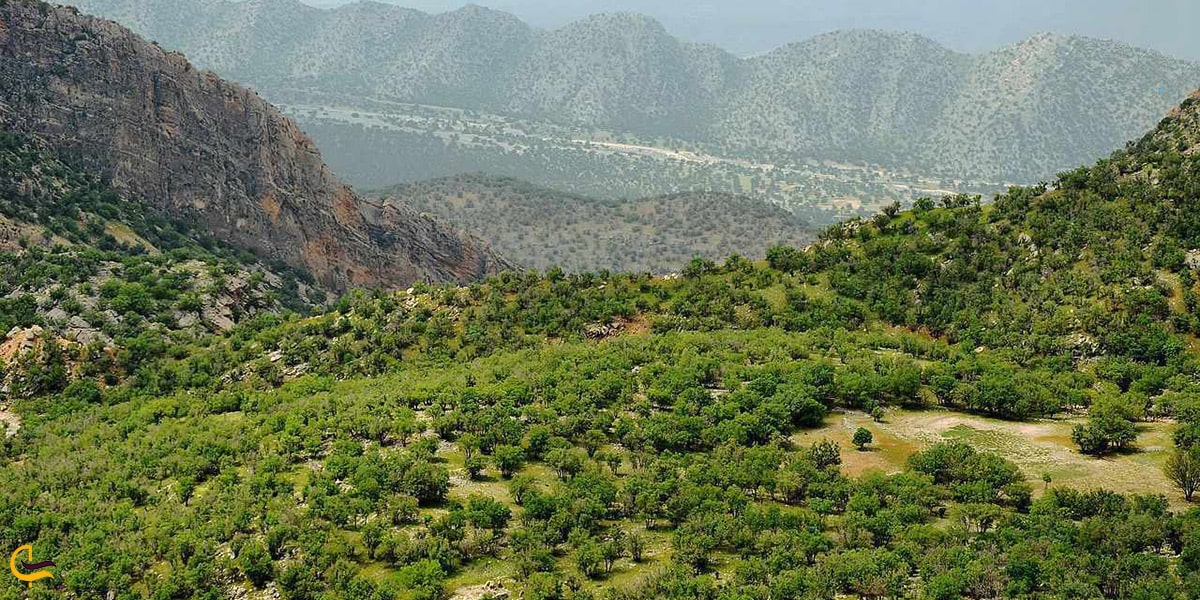 نمای کلی از دشت برم کازرون