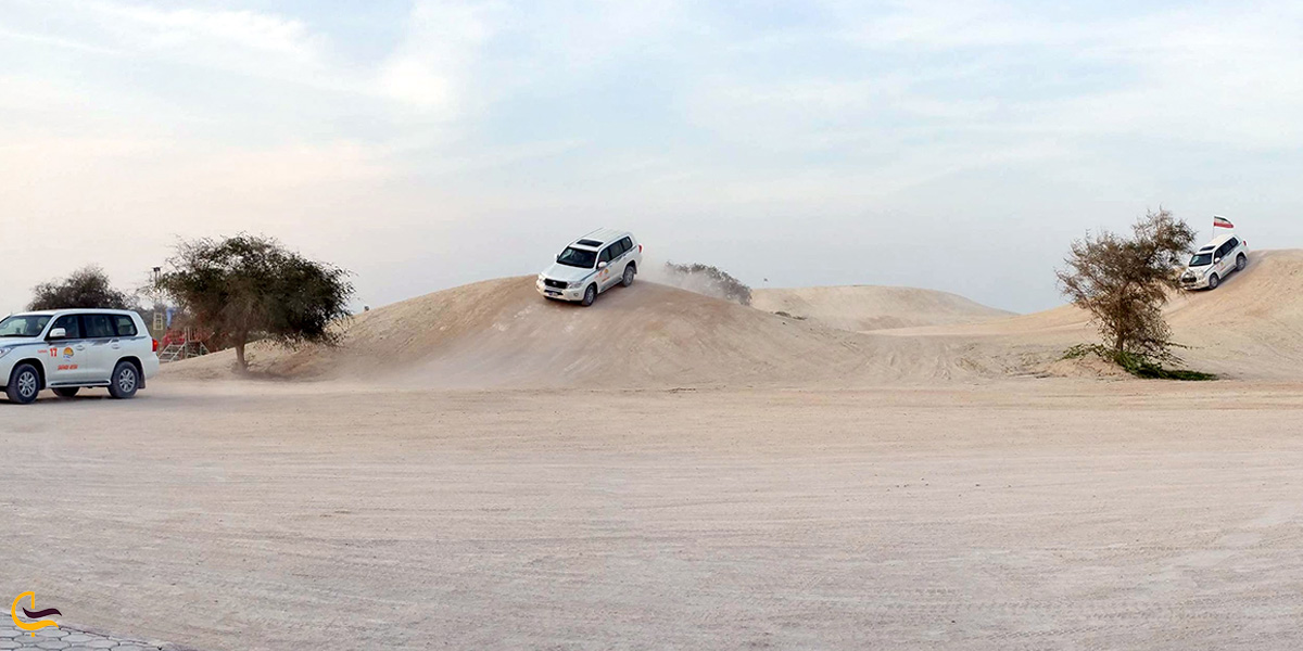 تصویری از پارس سافاری کیش