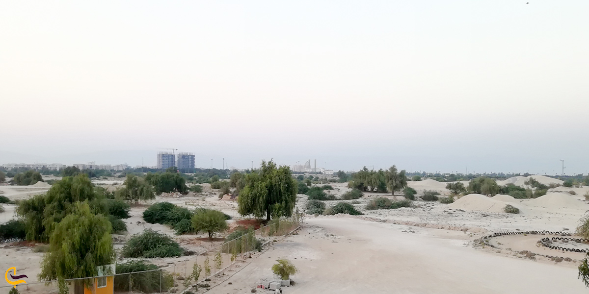 تصویری از پارس سافاری کیش