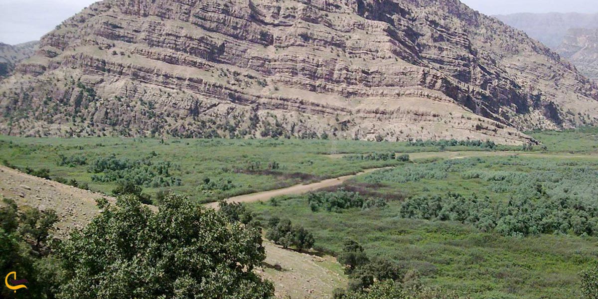 تصویری از منطقه حفاظت شده شیمبار مسجد سلیمان 