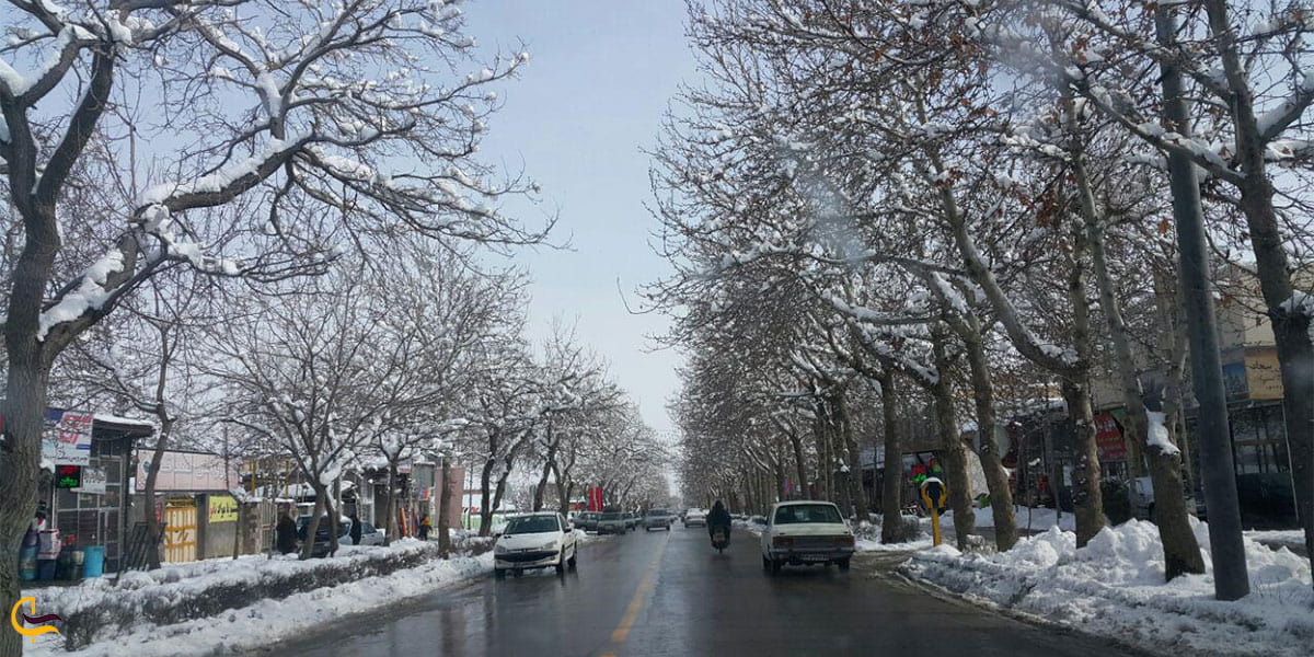 نمایی از زمستان سرد شاندیز