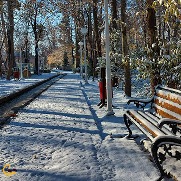تصویری از پارک وکیل آباد در زمستان