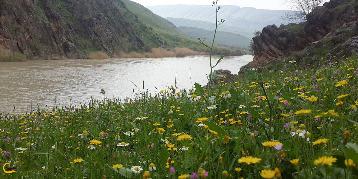 بهترین زمان سفر به ایلام