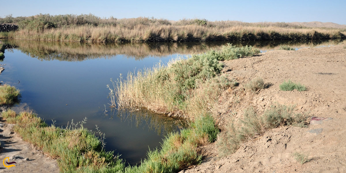 طبیعت شهر ورزنه
