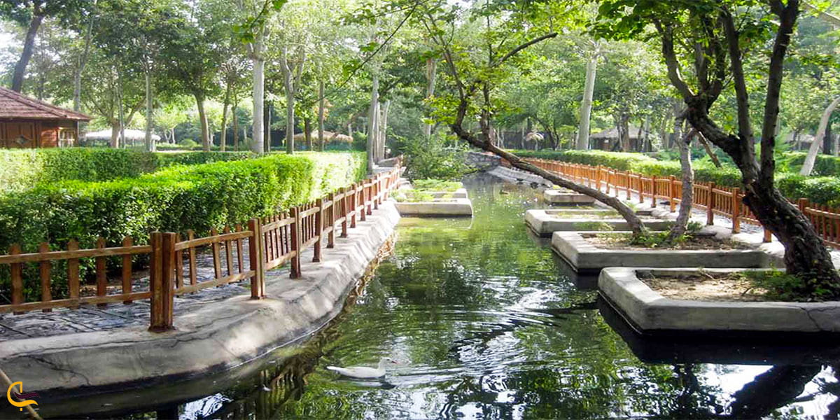 نماییاز طرقبه