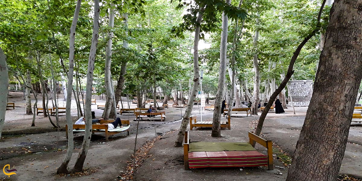 نمایی از پارک وکیل آباد