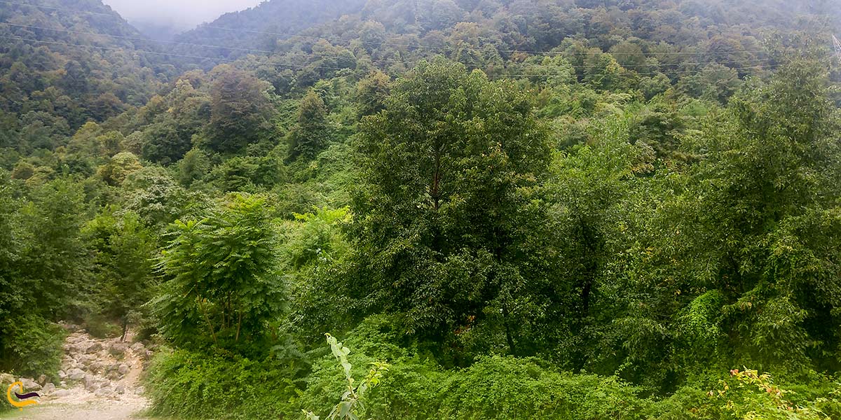 نمایی از روستای چلندر