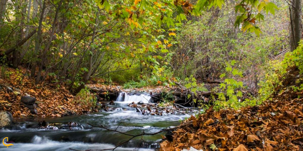 تصویری از روستای جاغرق مشهد